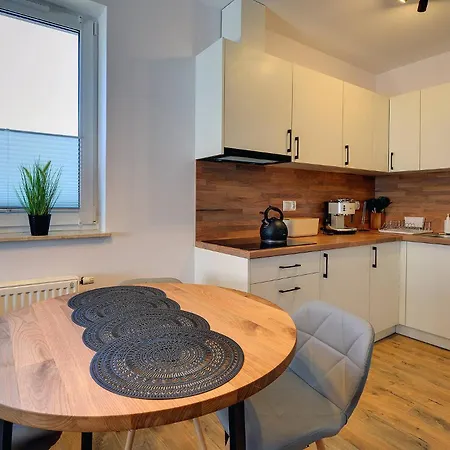 Gustowne Sun Seasons 24 Z Parkingiem W Szklarskiej Porebie By Renters Daire *