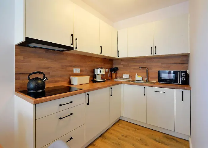 Gustowne Sun Seasons 24 Z Parkingiem W Szklarskiej Porebie By Renters Schreiberhau